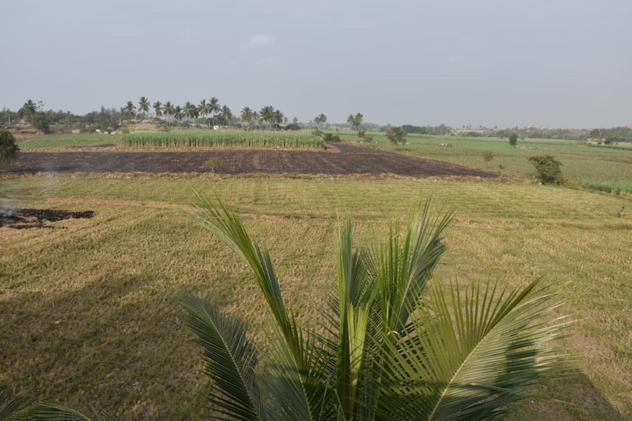 Coconut Homestay Hampi Exterior photo