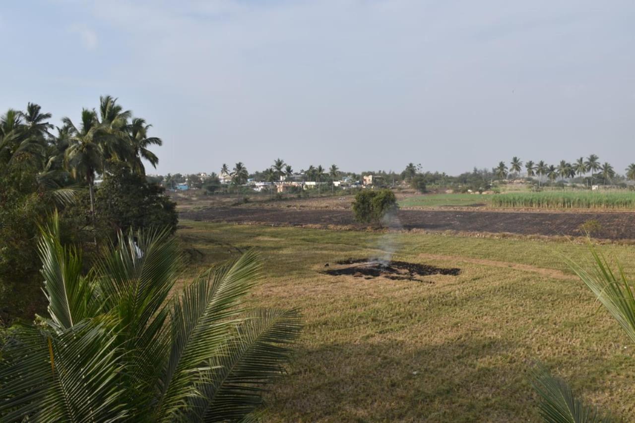 Coconut Homestay Hampi Exterior photo